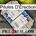 Erection Pills kamagra1